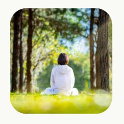 Comment se déroule une séance individuelle ?