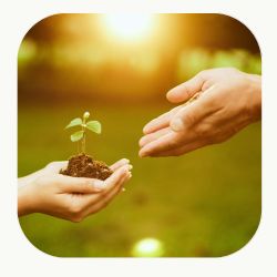 Un espace ressource pour cultiver votre &eacute;quilibre